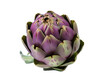 Closeup of an artichoke isolated on transparent background. Generative AI