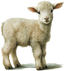 baby sheep cute lamb watercolor illustration isolated on white created with, AI Generative