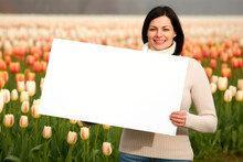 Medium Shot Portrait Photography Of A Pleased Woman In Her 30s Holding An Empty White Blank Sign Poster Wearing A Cozy Sweater Against A Flower Field Or Tulip Field Background