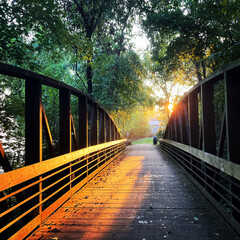 bridge in the autumn