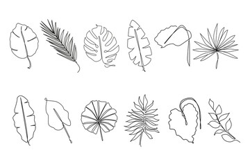 Wall Mural - Tropical leaves one line drawing.Continuous line drawing of tropical palm leaf.Single one line exotic palm leaf .Leaves outline sketch.Jungle plant leaf line art.Set tropical leaves.