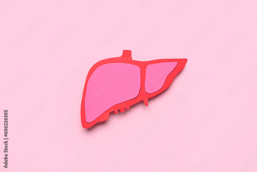 Paper liver on pink background
