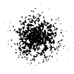 Aufkleber - Shatters and debris in radial shape. Black broken pieces, specks, speckles and particles. Abstract explosion and burst element. texture. Vector illustration 