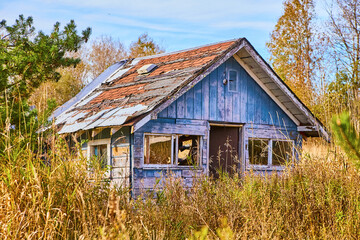 Wall Mural - Textured abandoned house chipped blue paint rotting roof and overgrown field with green tree