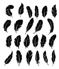 Big set of bird feathers design. fluffy swan. soft bird plumage set. Pen icons design. set of bird feathers design