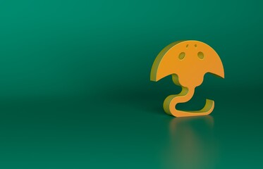 Wall Mural - Orange Stingray icon isolated on green background. Minimalism concept. 3D render illustration