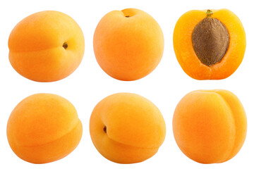 Wall Mural - apricot isolated on white background, full depth of field