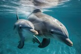 mother dolphin and her calf swimming in the warm waters of their home, created with generative ai