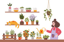 Woman Watering Plants At Her Kitchen Garden, Cartoon Style. Herbs, Vegetables And Microgreens, Indoor Gardening Hobby. Cozy Activity. Trendy Modern Isolated Vector Illustration, Hand Drawn, Flat