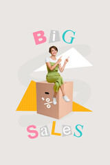 Wall Mural - Composite photo collage of young addicted shopaholic lady promoter direct fingers big sales sit huge carton box isolated on grey background