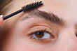 Perfect eyebrow. Close up of woman getting eyebrow make-up. Macro applying cosmetics on her eyebrow with brush. Perfect shape of eyebrow, brown eyeshadows and long eyelashes. Shape eyebrows.