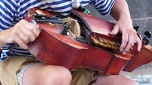 Street Musician Playing Retro Hurdy Gurdy Or Wheel-fiddle Vintage Music Hand-crank Acoustic String Instrument, Authentic Traditional Street Music Player.
