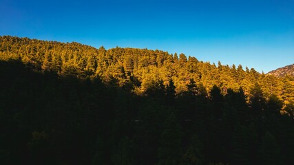 Canvas Print - Beautiful green forested hill on the background of the blue sky