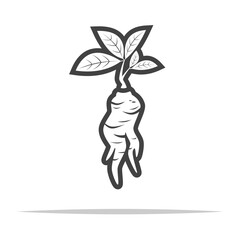 Wall Mural - Ginseng root outline icon transparent vector isolated
