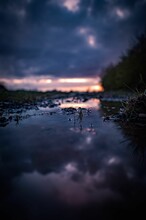 Vertical Of A Gloomy Scenery Of Grass Growing Through Shallow Water Under A Dark Sky