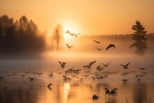A Flock Of Cranes Taking Flight Over A Misty Lake At Sunrise, Generate Ai