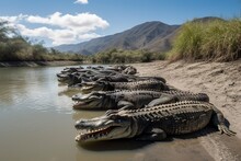A Group Of Crocodiles Sunbathing On A Riverbank With Mountains In The Background, Generate Ai