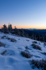 Wall Mural - Cold winter day sunset landscape with snowy trees. Photo from Lysa peak , Beskydy mountain in Czech republic. Background Heavy snow view.