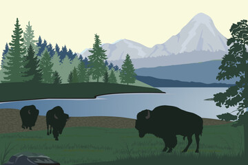 Wall Mural - Forest landscape  with mountains, trees, lake, bisons silhouettes,  vector illustration.