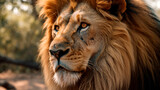 Fototapeta Sawanna - close up portrait of a lion. Generative Ai. 