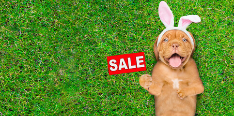Aufkleber - Happy mastiff puppy wearing easter rabbits ears shows signboard with labeled 