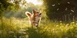 A dog happily bounds through a field, its tail wagging fiercely as it chases butterflies fluttering in the sunlight, concept of Animal behavior, created with Generative AI technology