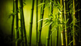 Fototapeta Sypialnia - Close up of bamboo tree with green leaves and blurry background. Generative AI.