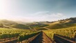 © Oleg - a scenic view of a vineyard in the hills with trees and hills in the background and sun shining on the vineyards and hills in the foreground.  generative ai