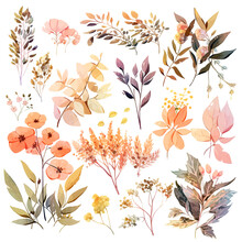 Set Of Atumn Floral Watercolor, Flower Watercolor, Leaves Watercolor
