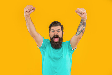 Wall Mural - portrait of successful brutal man with beard isolated on yellow. portrait of brutal man