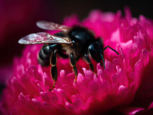 A Bee Sitting On Top Of A Pink Flower With Its Head In The Center, Surrounded By It's Pollen. Generative Ai