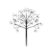Minimal Icon Illustration Of Queen Anne's Lace Flower With Transparent Background. Black Line Drawing Logo Artwork.
