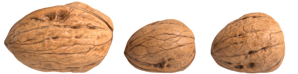 3d illustration of walnuts isolated on transparent background