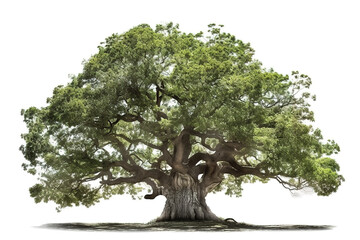 image of big tree on a white background. illustration, generative ai.