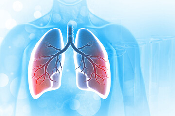 Wall Mural - Anatomy of human lungs on medical background. 3d illustration