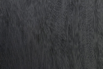 Wall Mural - Black wood background