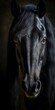 Portrait of a Black Horse - AI Generative