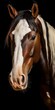 Portrait of a Pinto breed horse - AI Generative