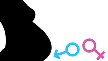 Boy Or Girl Sign. Silhouette Of A Pregnant Girl On A White Background. The Gender Symbol Is Pink Or Blue.
