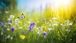 Beautiful field meadow flowers chamomile and violet wild bells and three flying butterflies in morning green grass in sunlight, natural landscape. Delightful pastoral airy fresh artistic image nature