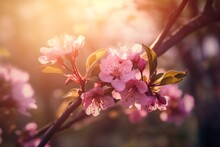 Spring Border Or Background Art With Pink Blossom, Generative Ai