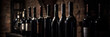 Wine bottles in a row, dark wine cellar background, Generative AI