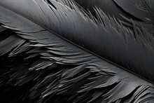 Feathers Of A Bird On A Black Background Close-up, Generative AI