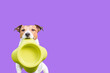 Hungry dog holding empty bowl wants to eat some food. Solid color background