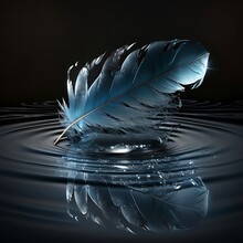 Feather Falling In Water On Black Background