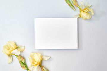 Wall Mural - mockup white greeting card with yellow irises on a light background