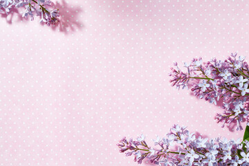Wall Mural - flat lay frame with lilac branches on a pink background