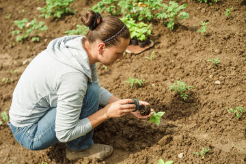 woman holds green pepper seedlings in her hands