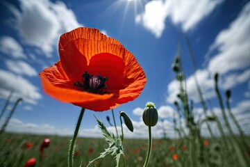 Poster - In the sky, there is a poppy blossom. Generative AI