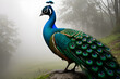 Very beautiful peacock, with a bright color. Generative AI